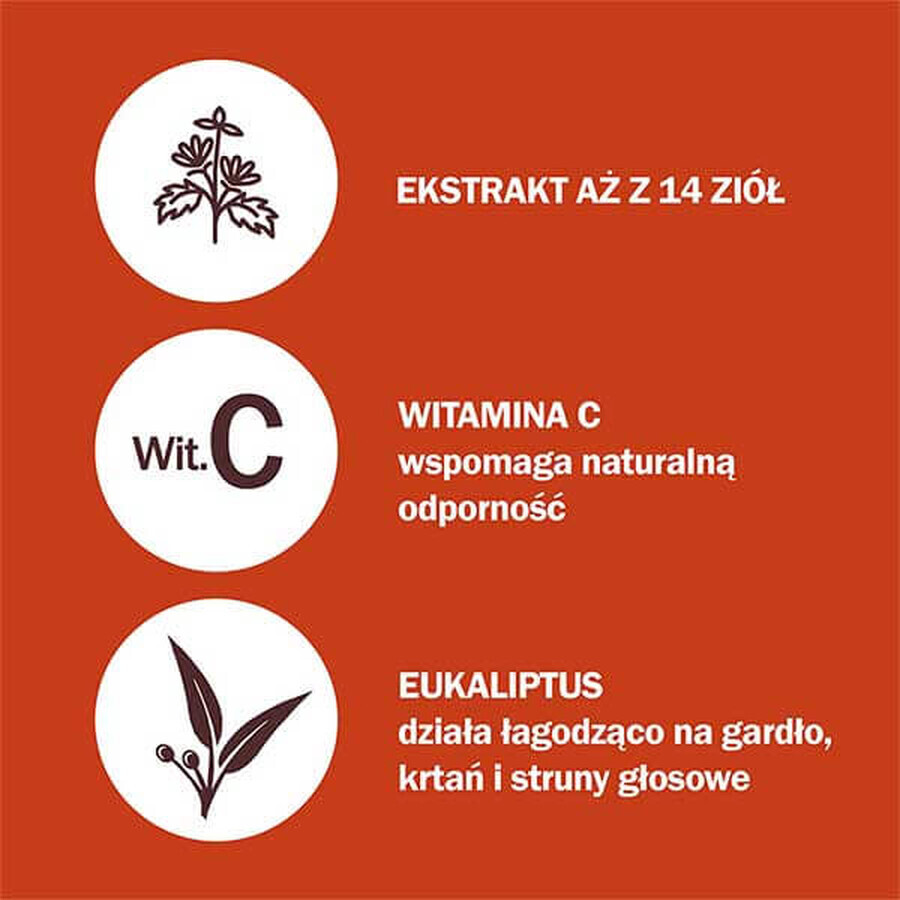 Herbitussin Tuse și gât, soc și eucalipt, 12 pastile