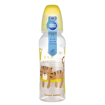 Canpol Babies dummy bottle size 3-fast, after 12 months, 250 ml