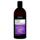 Ziaja, shampoo for oily hair, lavender, 500 ml