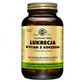 Solgar Liquorice, extract de rădăcină, 60 capsule vegetale