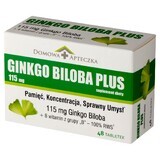 Ginkgo Biloba Plus, 48 comprimate