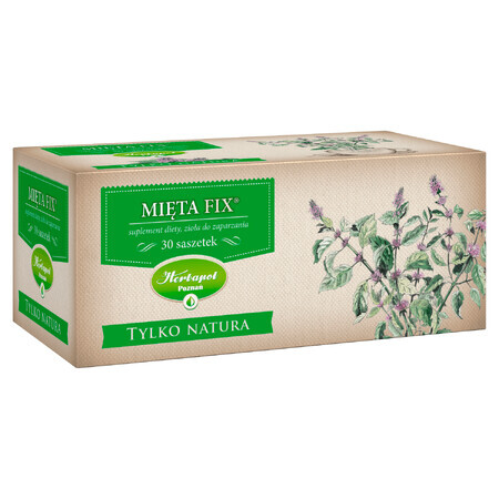 Herbapol Tylko Natura Mint Fix, hierbas para colar, 2 g x 30 bolsitas