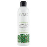 Vianek, Champú normalizante para cabello normal y graso, 300 ml