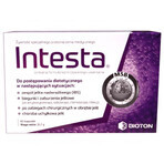 Intestine, 60 capsules