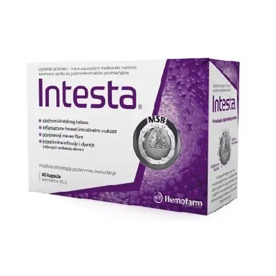 Intestine, 60 capsules