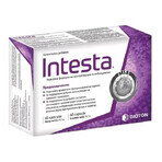 Intestine, 60 capsules