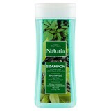 Joanna Naturia, Shampoo for hair with nettle and green tea, 200 ml