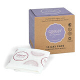 Ginger Organic, prosoape de zi cu aripi, 10 buc.