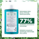 Klorane, Șampon detoxifiant cu mentă organică pentru păr normal, 400 ml