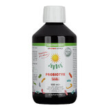 Joy Day Probiotic Kids, bio, 300 ml