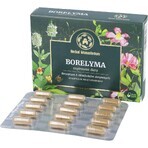 Herbal Monasterium Borelyma, 30 capsule