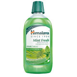 Himalaya Mint Fresh, collutorio rinfrescante, senza alcol, 450 ml