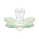 Pacifier in silicone simmetrico Canpol 0-6m 24/001 Verde