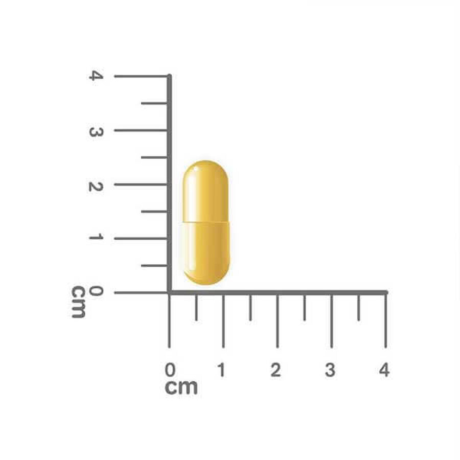 Estabiom Junior, voor kinderen vanaf 3 jaar, 20 capsules KORT GEBRUIK