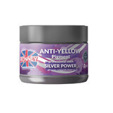 Ronney Silver Power Anti-Yellow Pigment, masque pour cheveux blonds, décolorés et gris, 300 ml