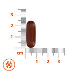 SEMA Lab Fosfolipide Max 600 mg, 30 capsule