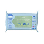 Mustela underwear set, washing gel, 500 ml + body milk, 300 ml + changing cream 75 ml + wet wipes, 60 pieces