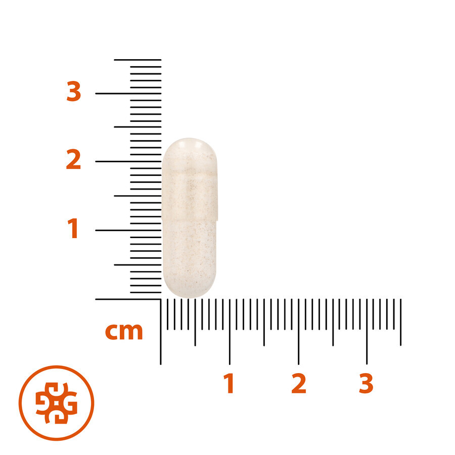 SEMA Lab Natriumbutyrat Max 300 mg, 60 Kapseln mit verzögerter Wirkstofffreisetzung