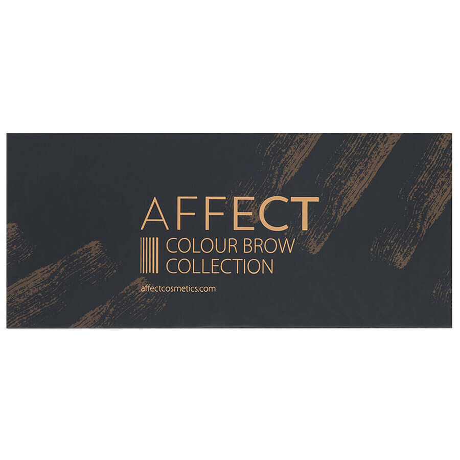 Affect Colour Brow Collection, palette d'ombres à sourcils, 10 x 2 g