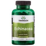 Echinacea 400 mg, 100 capsule, Swanson