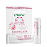 Equilibra Rosa, balsam de buze roz cu acid hialuronic, 5,5 ml