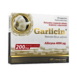 Olimp Garlicin, 30 capsule