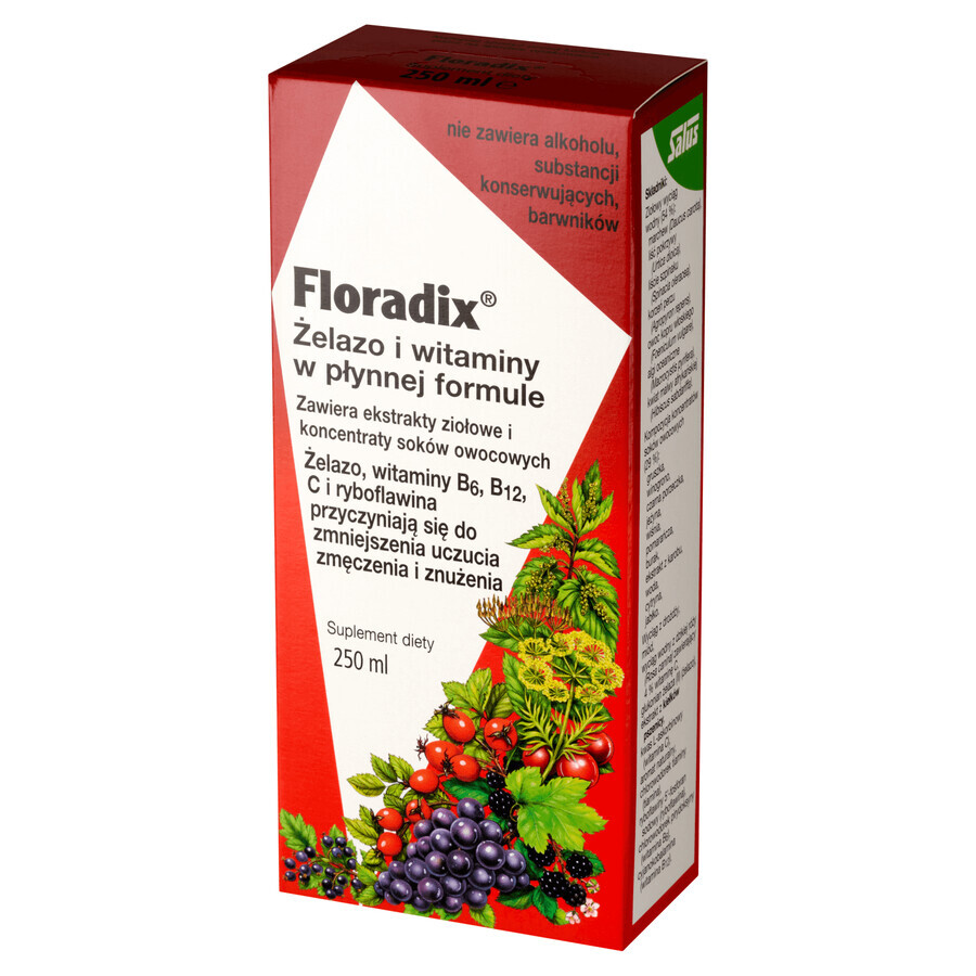 Floradix Fier Vitamine, 250 ml