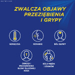 Theraflu Extra Grip 650 mg + 10 mg + 20 mg, pulbere pentru soluție orală, 14 pliculețe