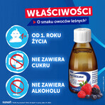 Mucosolvan Mini 15 mg/5 ml, sirop pentru copii peste 1 an, aromă de fructe de pădure, 100 ml