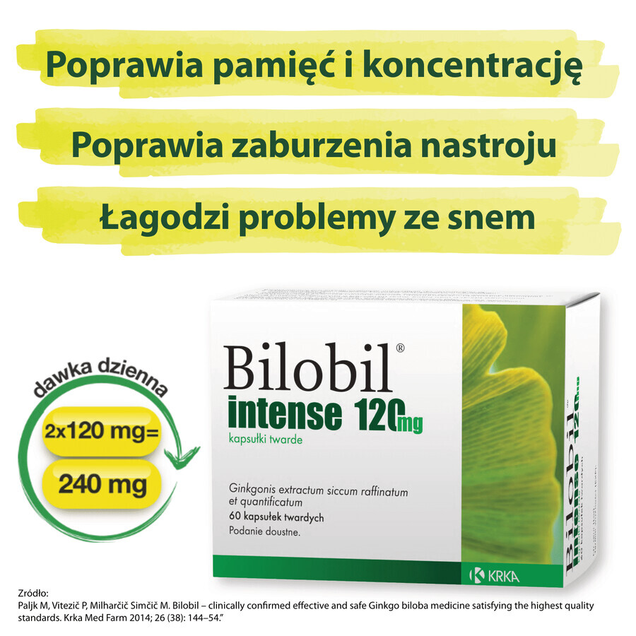 Bilobil Intenso 120 mg, 60 cápsulas