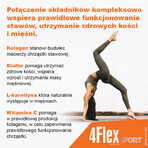 4Flex Sport, aromă de căpșuni, 30 pliculețe