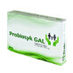 GAL Probiotic, 24 capsule