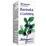 Herbapol Blueberry cu luteină, 30 capsule