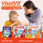 VisolVit Junior, gelatina, sabor fruta, 50 unidades