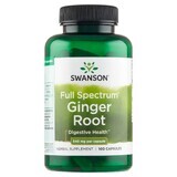 Swanson Ginger Root, Ghimbir, 100 capsule