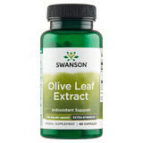 Swanson Estratto di foglie di olivo, foglie di olivo 750 mg, 60 capsule