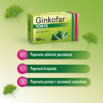 Ginkofar Forte 80 mg, 60 Filmtabletten