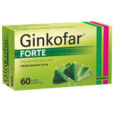 Ginkofar Forte 80 mg, 60 comprimate filmate