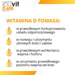 Ibuvit D 600, vitamina D pentru sugari și copii, picături orale, 10 ml