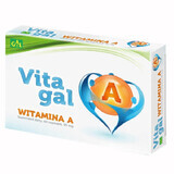 GAL VitaGal Vitamine A, 60 capsules