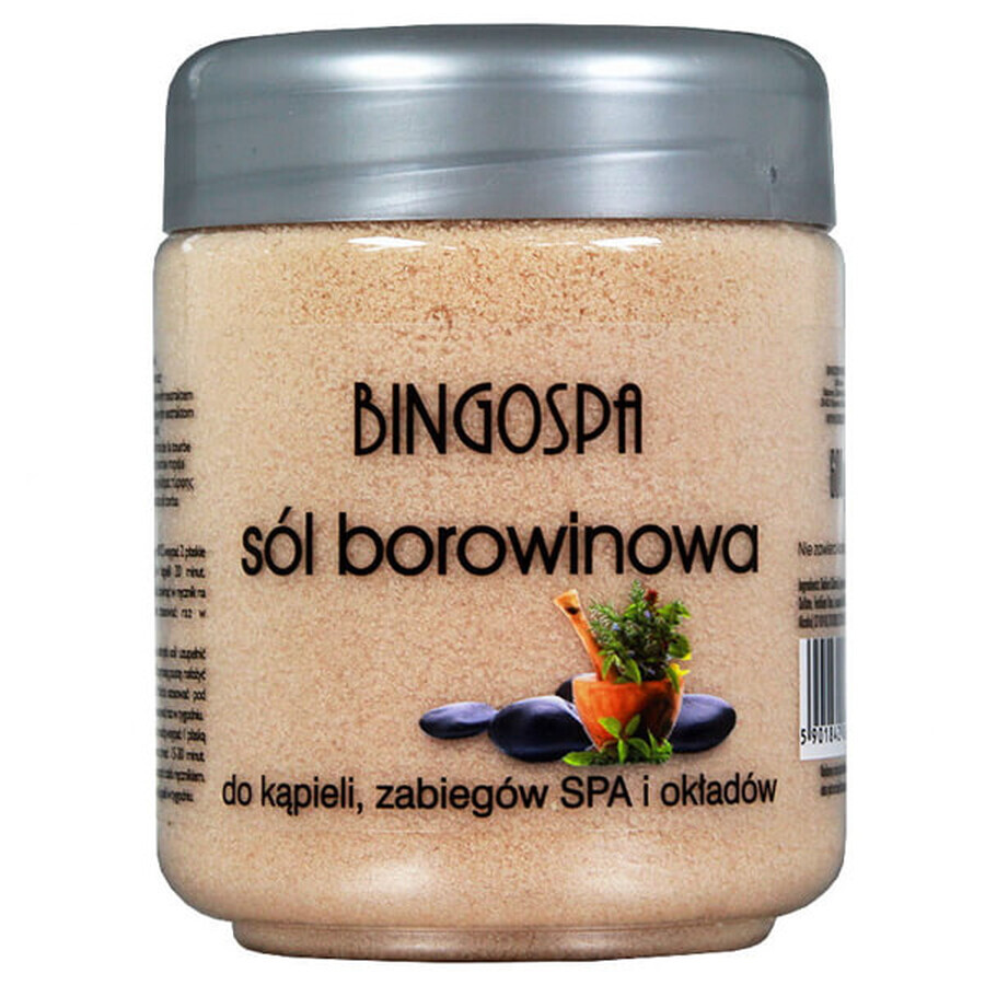 Bingospa, sale da bagno al fango, 600 g