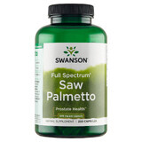 Swanson Saw Palmetto 540 mg, sabal palm, 250 capsule