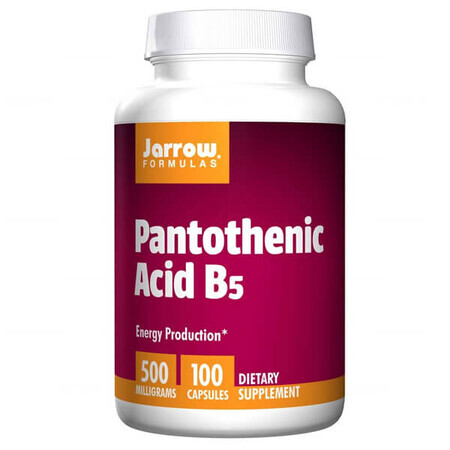 Jarrow Formulas Pantothenic Acid B5, acid pantotenic 500 mg, 100 capsule