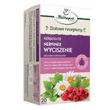 Herbapol Nervinex Calmant, ceai fix de plante și fructe, 2 g x 20 pliculețe