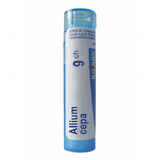 Boiron Allium cepa 9 CH, granulado, 4 g