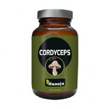 Hanoju Cordyceps, 150 capsule