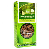 Darya Natury Pączki Sosny (muguri de pin), ceai organic, 50 g