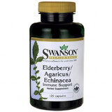 Swanson Elderberry &amp; Echinacea cu Agaricus Blazei Mushroom, fructe de soc, echinacea și agaricus, 120 capsule