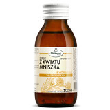 Herbapol Sirop de flori de păpădie cu vitamina C, 100 ml