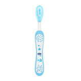 Chicco, toothbrush, after 6 months, blue, 1 pc